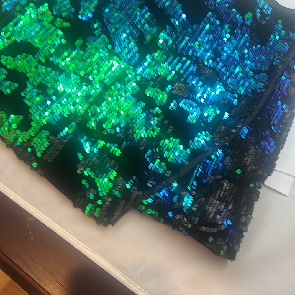 Forever 21 - black sequin skirt, blue/green sequins. Size Small - Picture 2 of 3